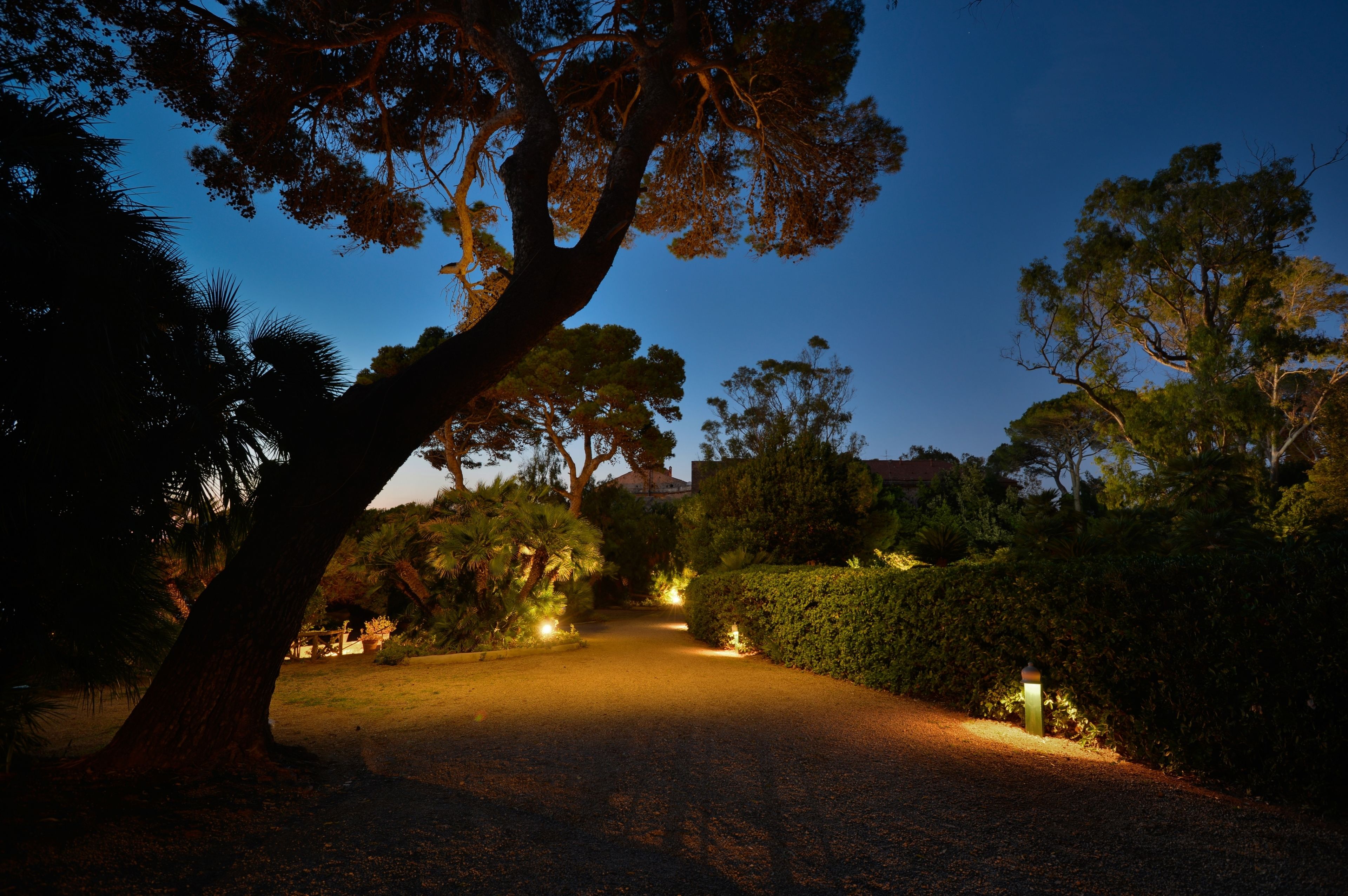 Un chemin pavé aménagé dans un espace verdoyant, agrémenté d’arbres et d’arbustes, et éclairé par des luminaires encastrés dans le sol.