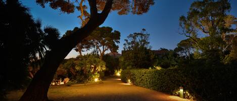 Un chemin pavé aménagé dans un espace verdoyant, agrémenté d’arbres et d’arbustes, et éclairé par des luminaires encastrés dans le sol.