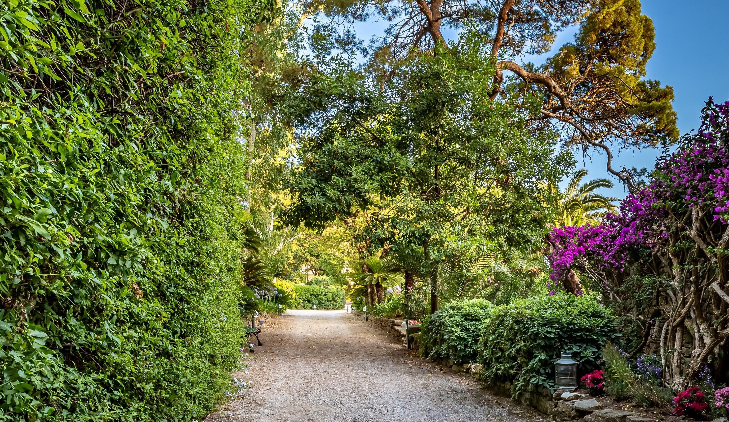 A pathway flanked by dense green foliage and flowering plants, leading to a clear sky.