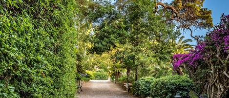 A pathway flanked by dense green foliage and flowering plants, leading to a clear sky.