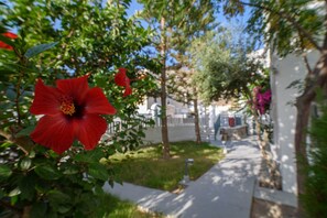 Exterior - Iris Boutique Hotel (Santorini)
