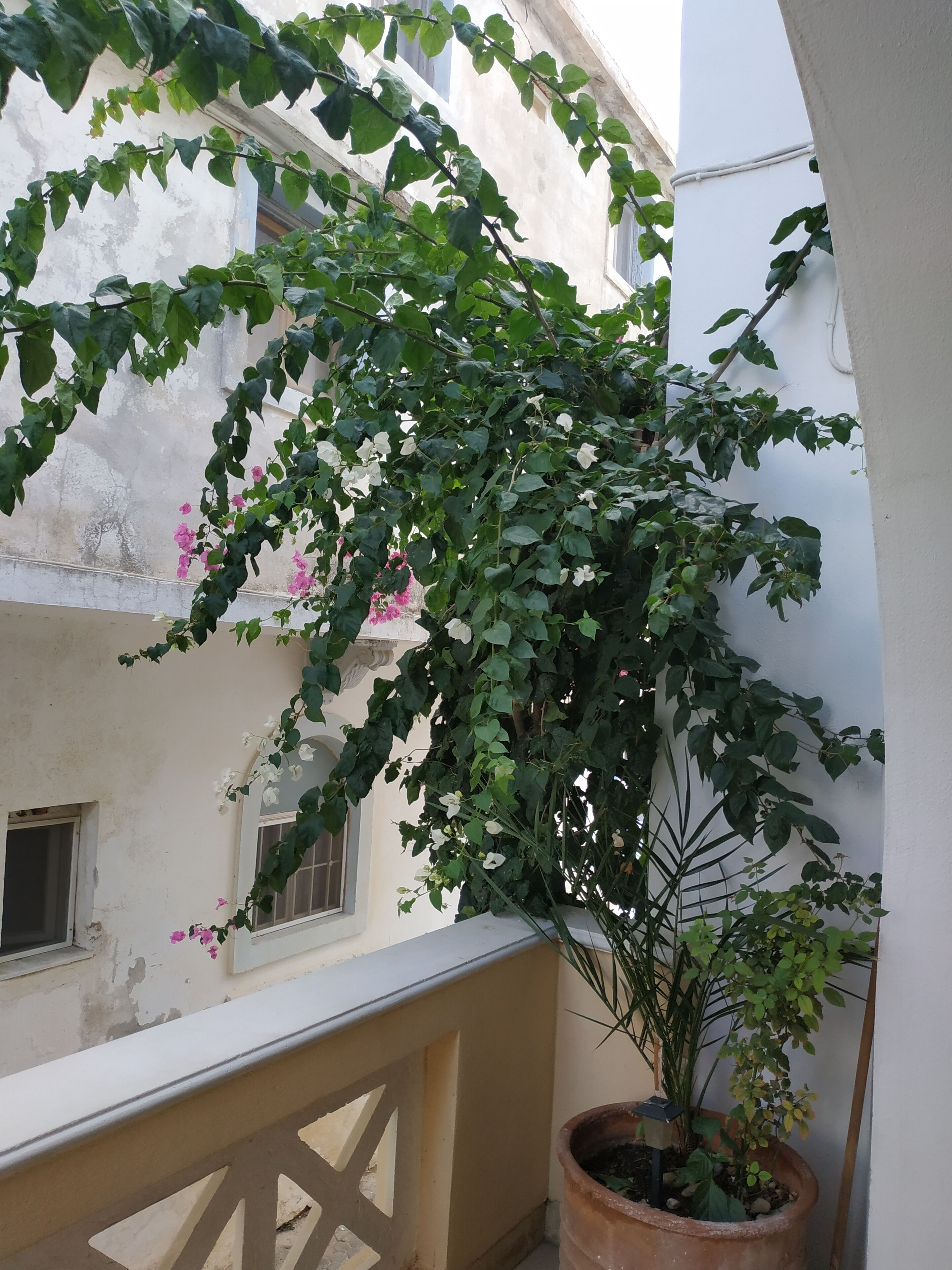 Photo - Renia Studios