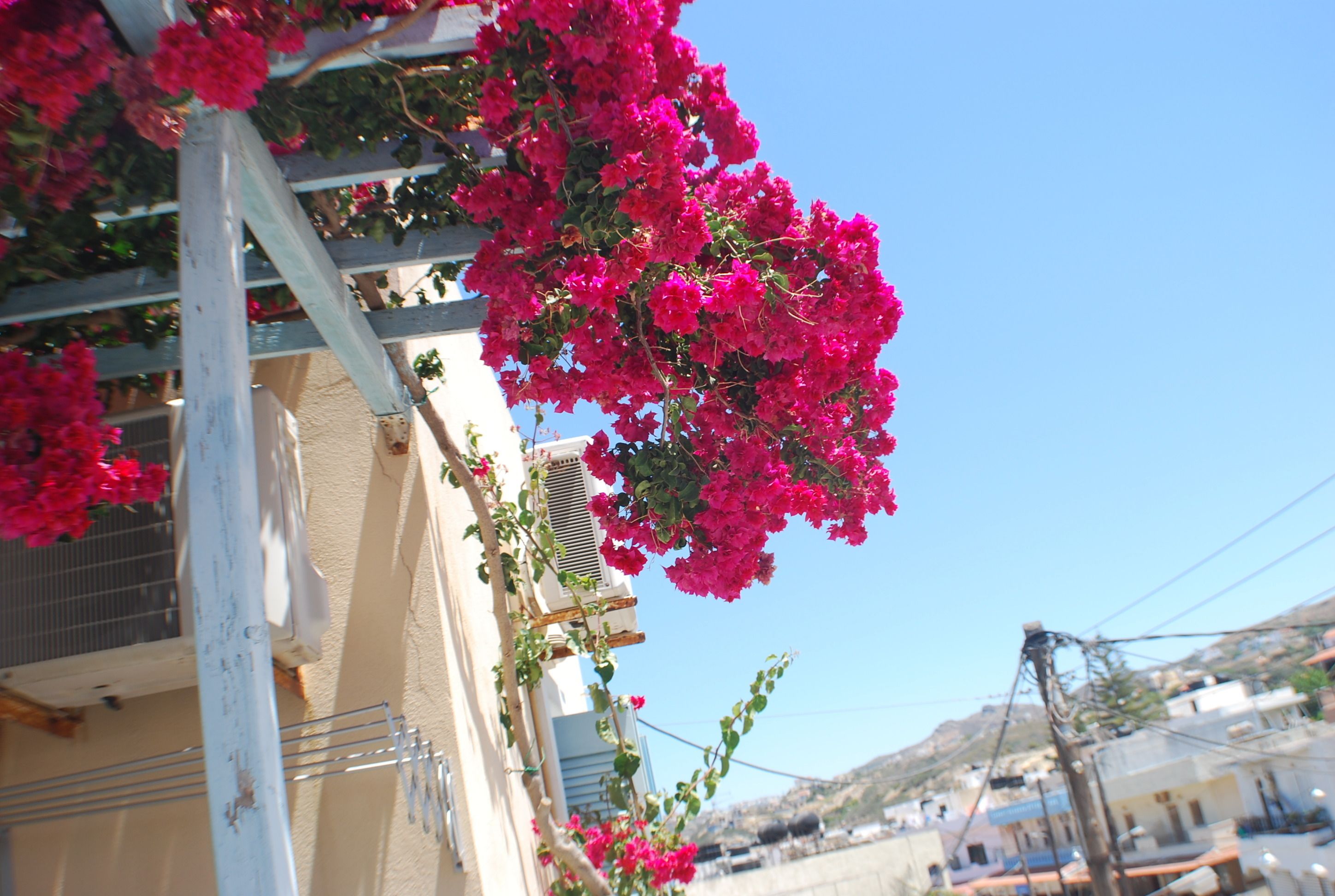 Photo - Renia Studios