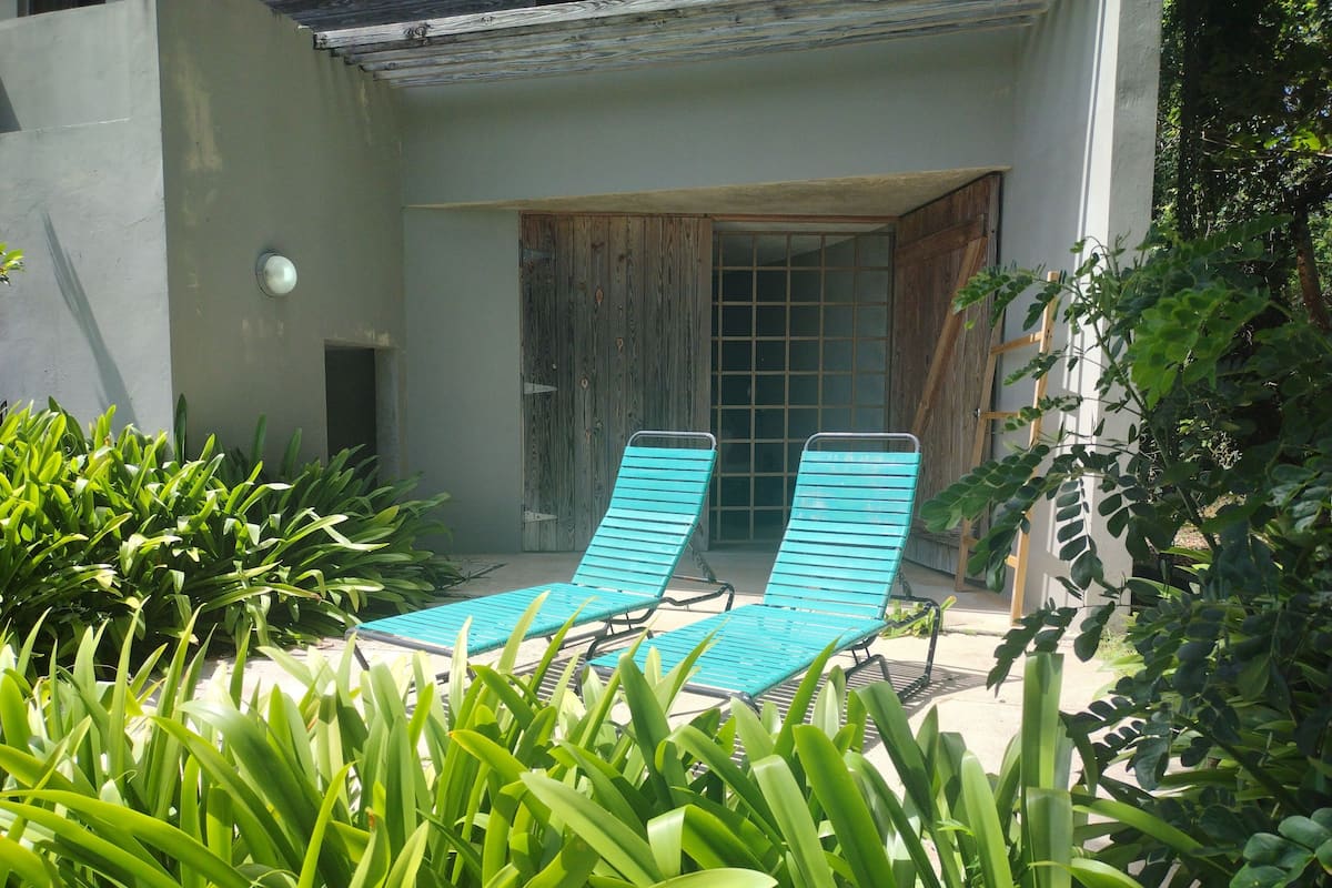 A patio area with two blue lounge chairs, a wooden door, and lush green plants.