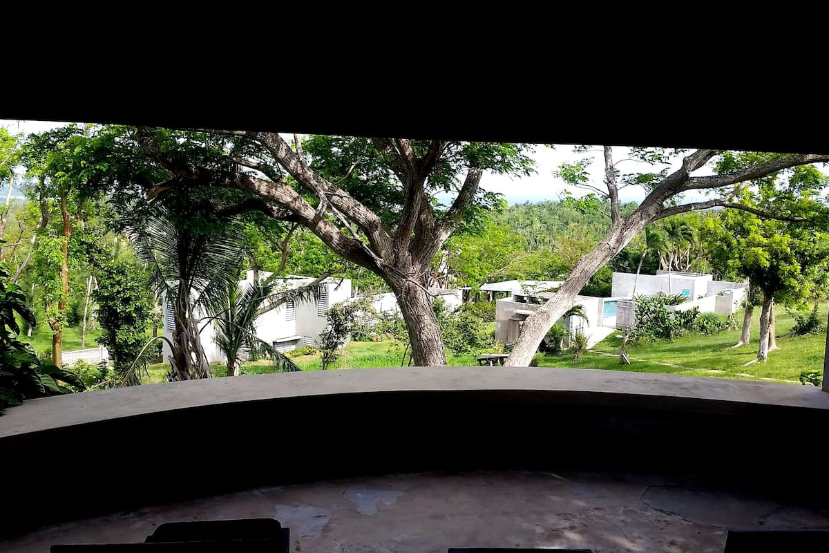 A view from a covered outdoor area with a concrete floor, surrounded by trees and greenery, and a glimpse of residential buildings in the background.