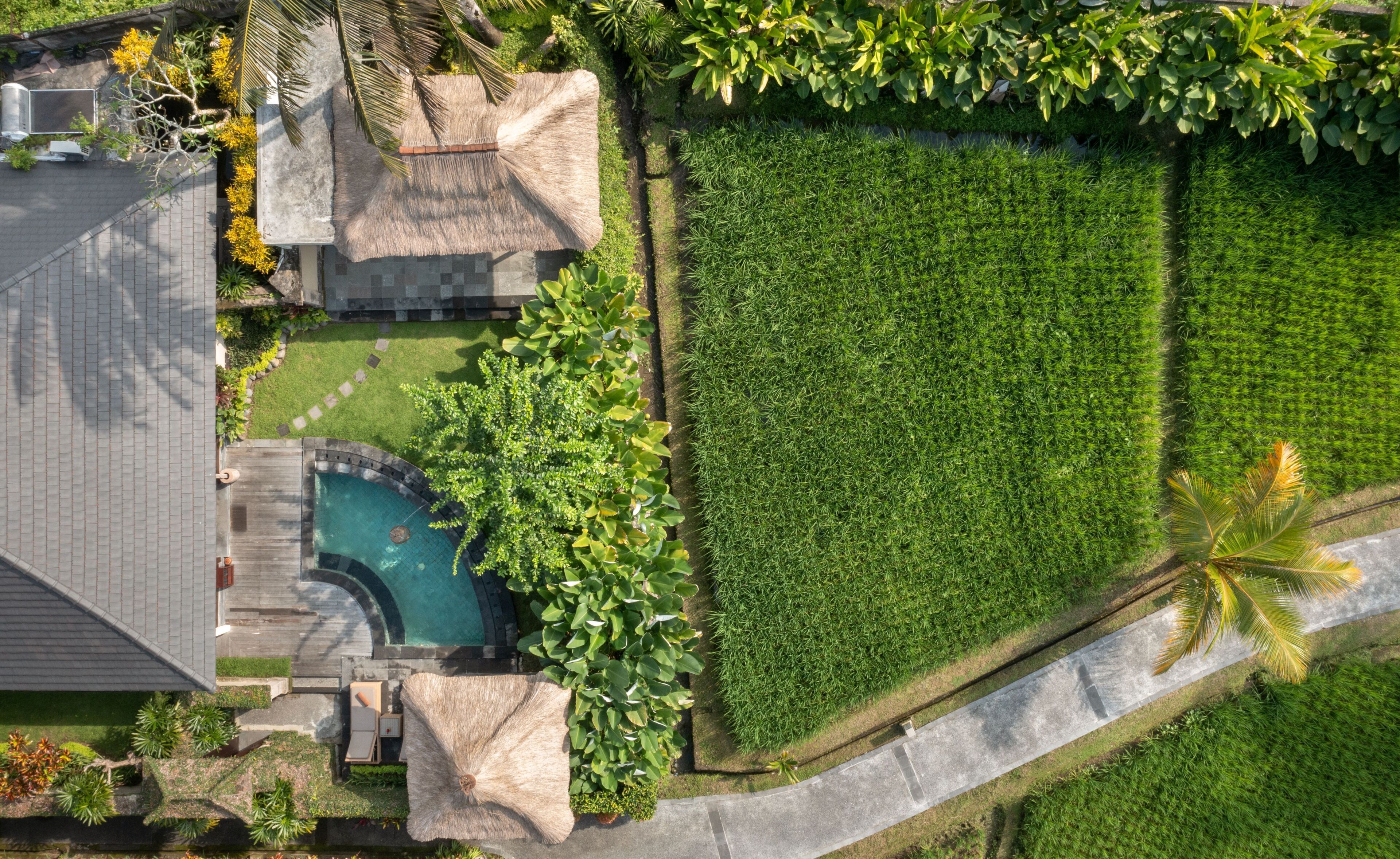 Foto - The Ubud Village Resort & Spa