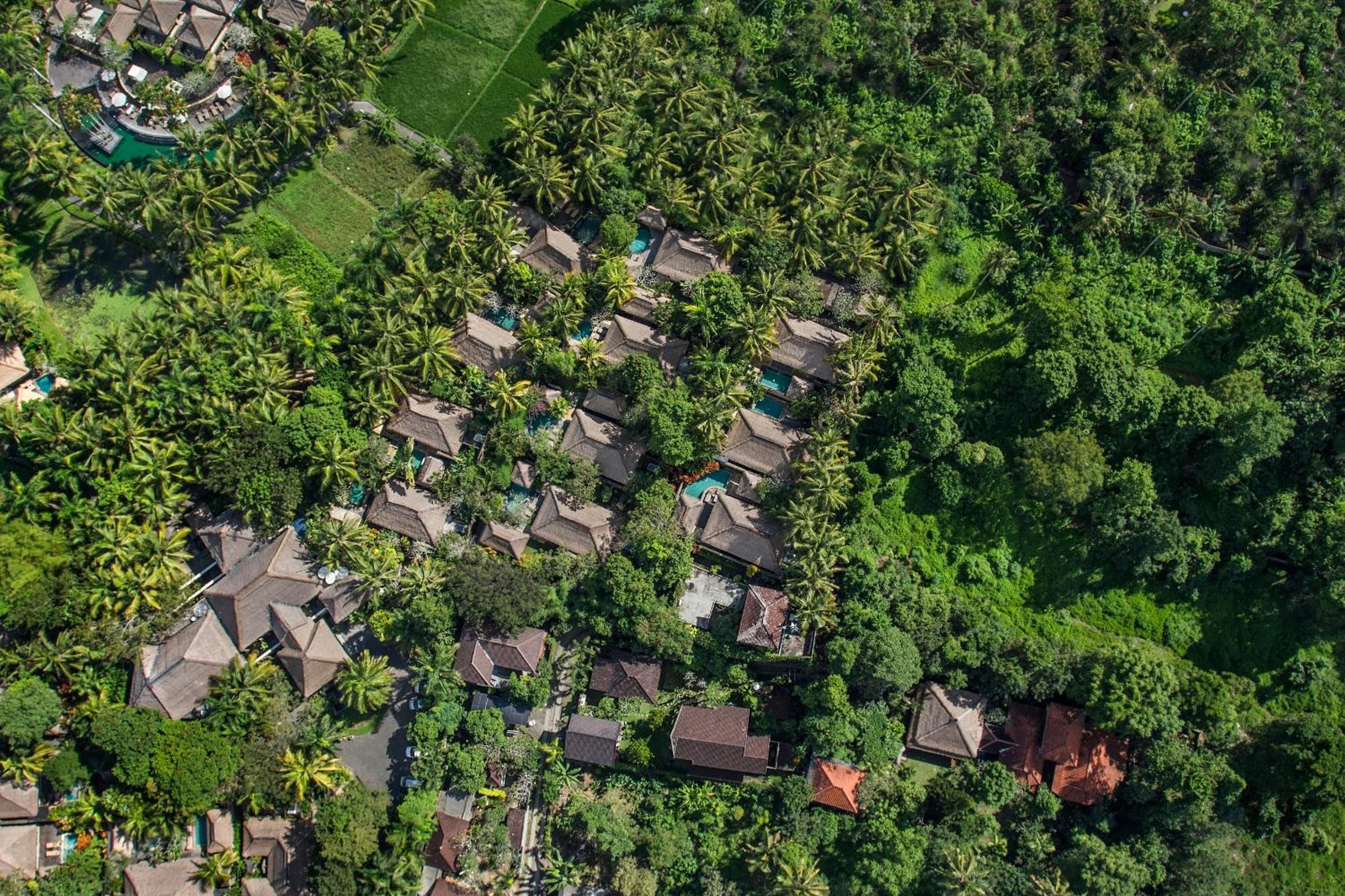 Foto - The Ubud Village Resort & Spa
