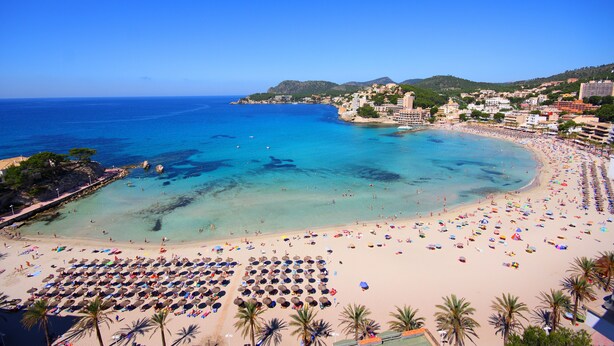 A beach with numerous umbrellas and sun loungers, a clear blue sea, and buildings in the background. - Valentin Somni Hotels & Suites – Adults Only +16 (Calvia)