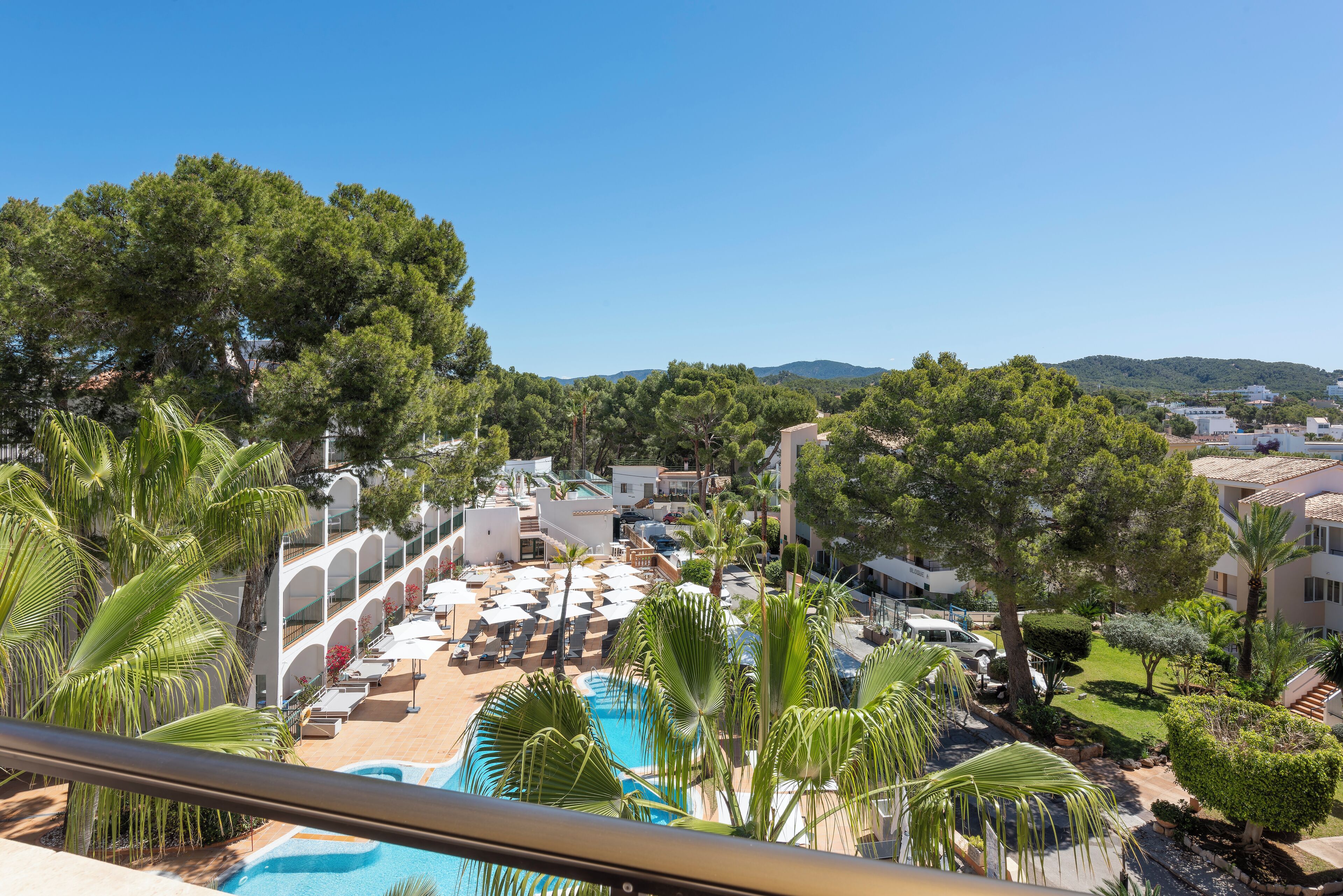 Un complexe hôtelier doté d’une piscine, de chaises longues et de palmiers.