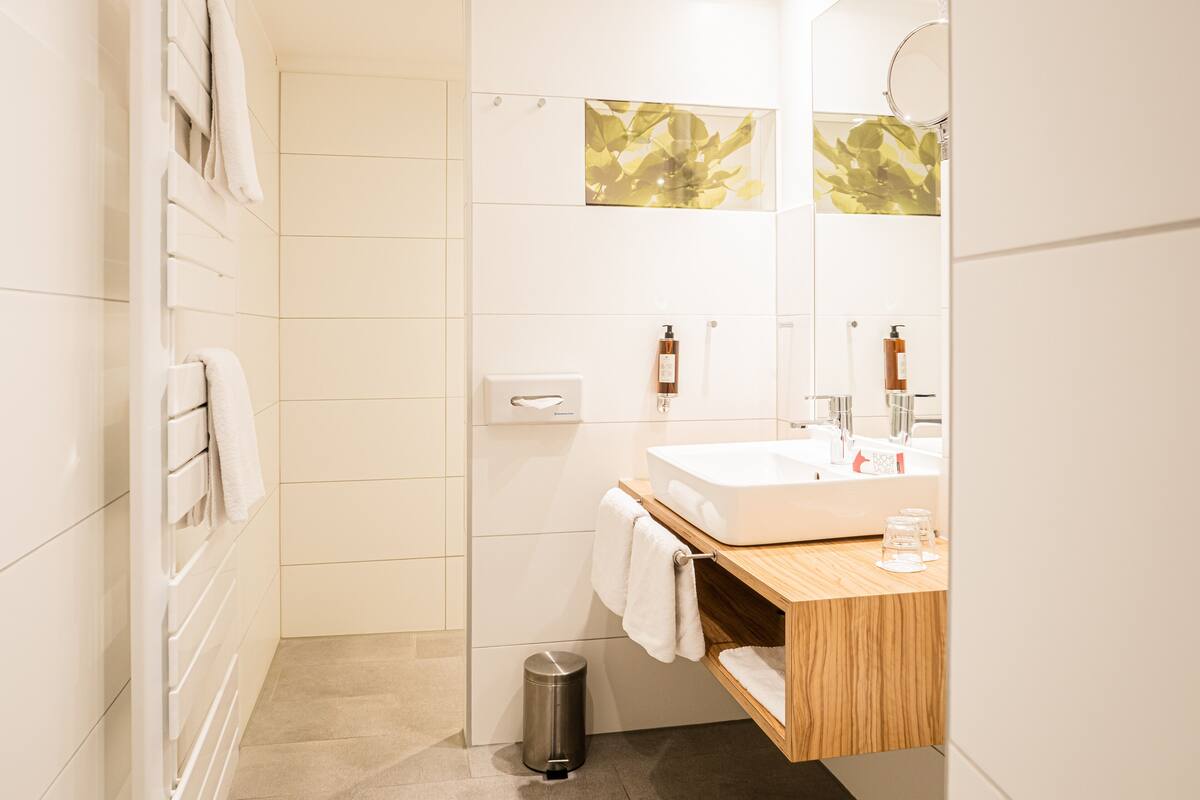 shower, free toiletries, hair dryer, towels