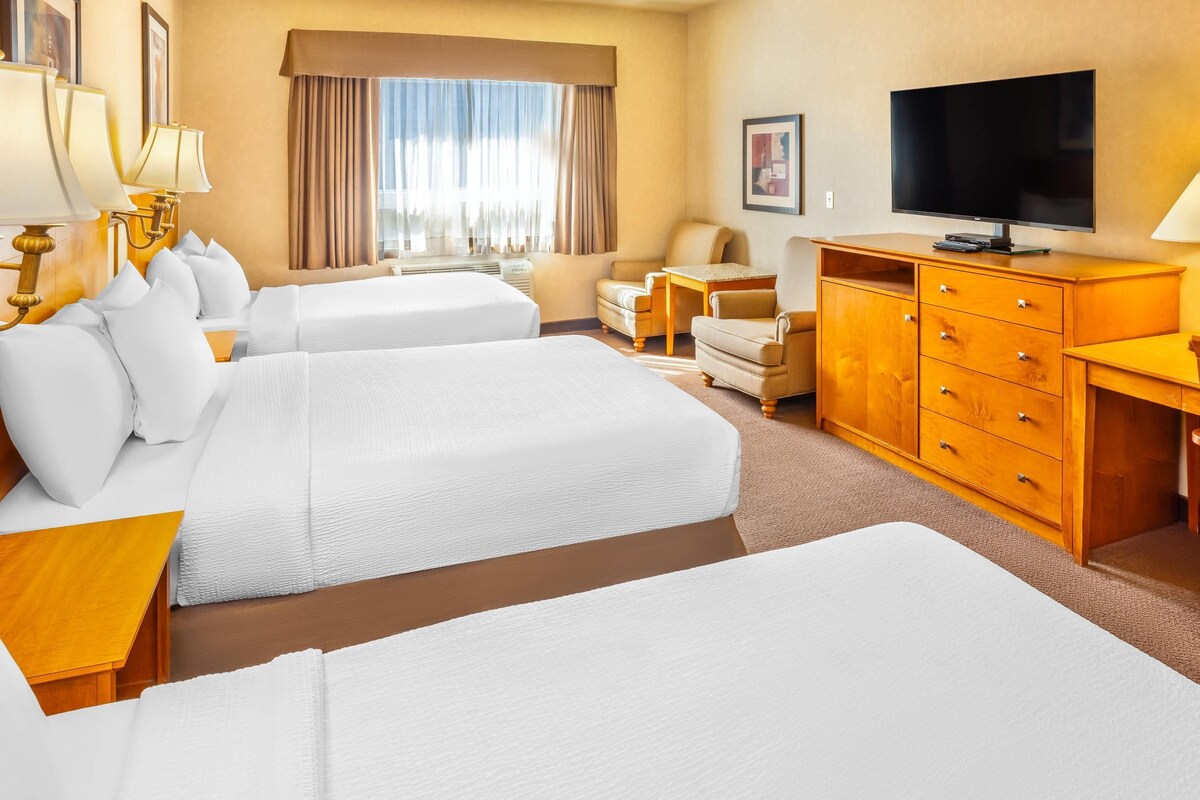 A hotel room with two beds, a TV, a desk, a chair, and a dresser.