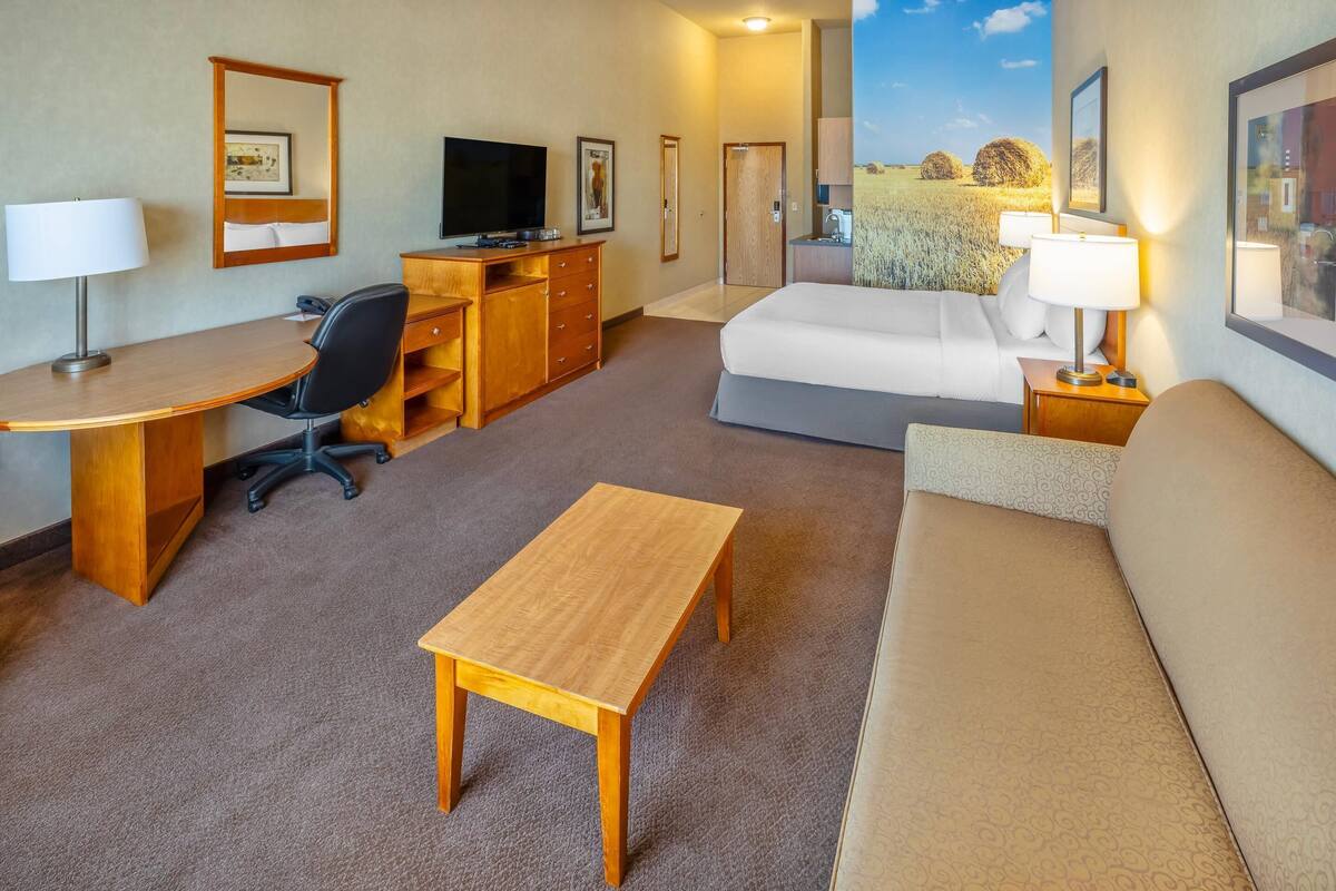 Une chambre d’hôtel comprenant un lit, un bureau, une chaise, une télévision, une commode et un tableau représentant un paysage.