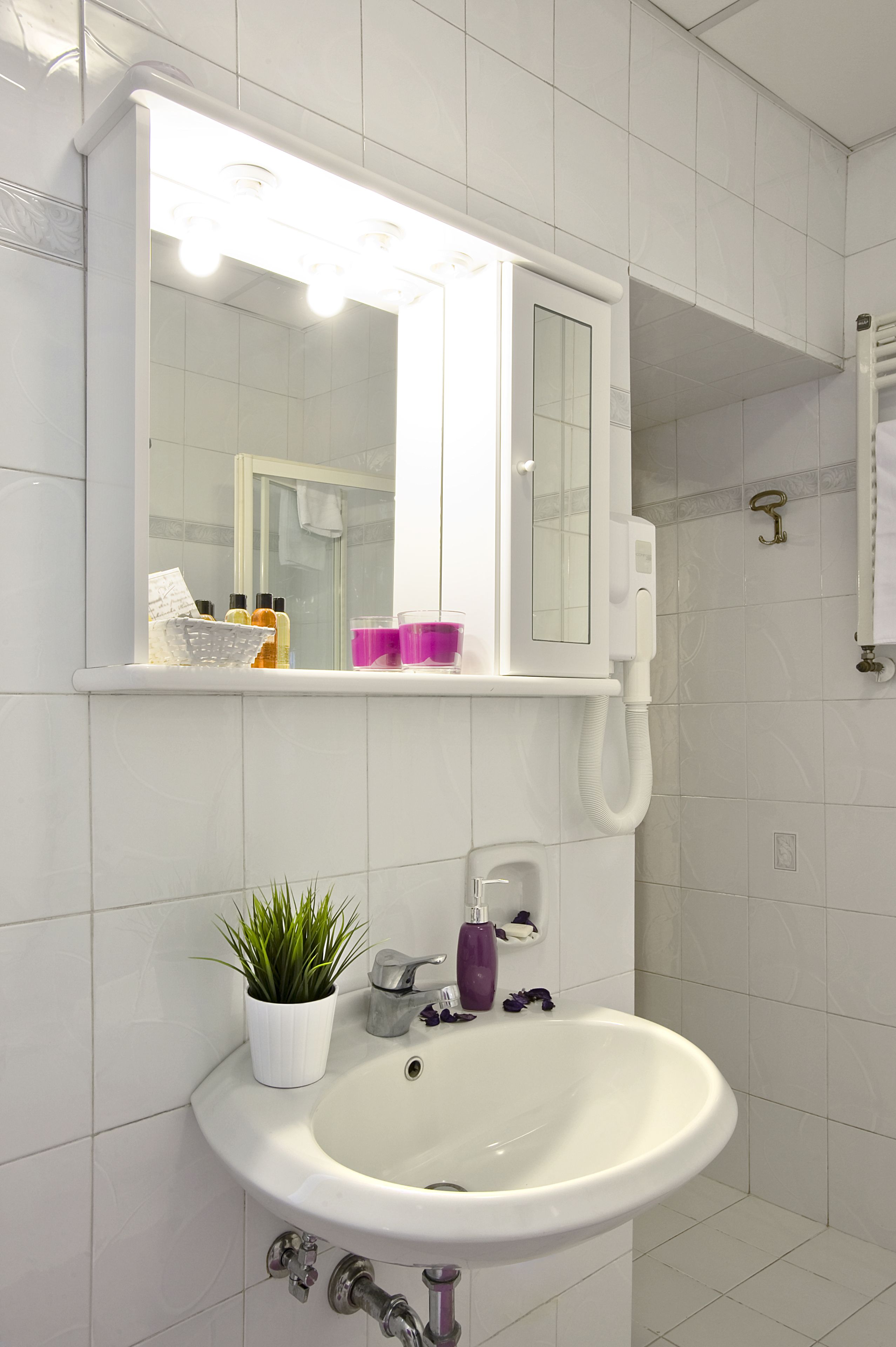 shower, rainfall showerhead, free toiletries, hair dryer