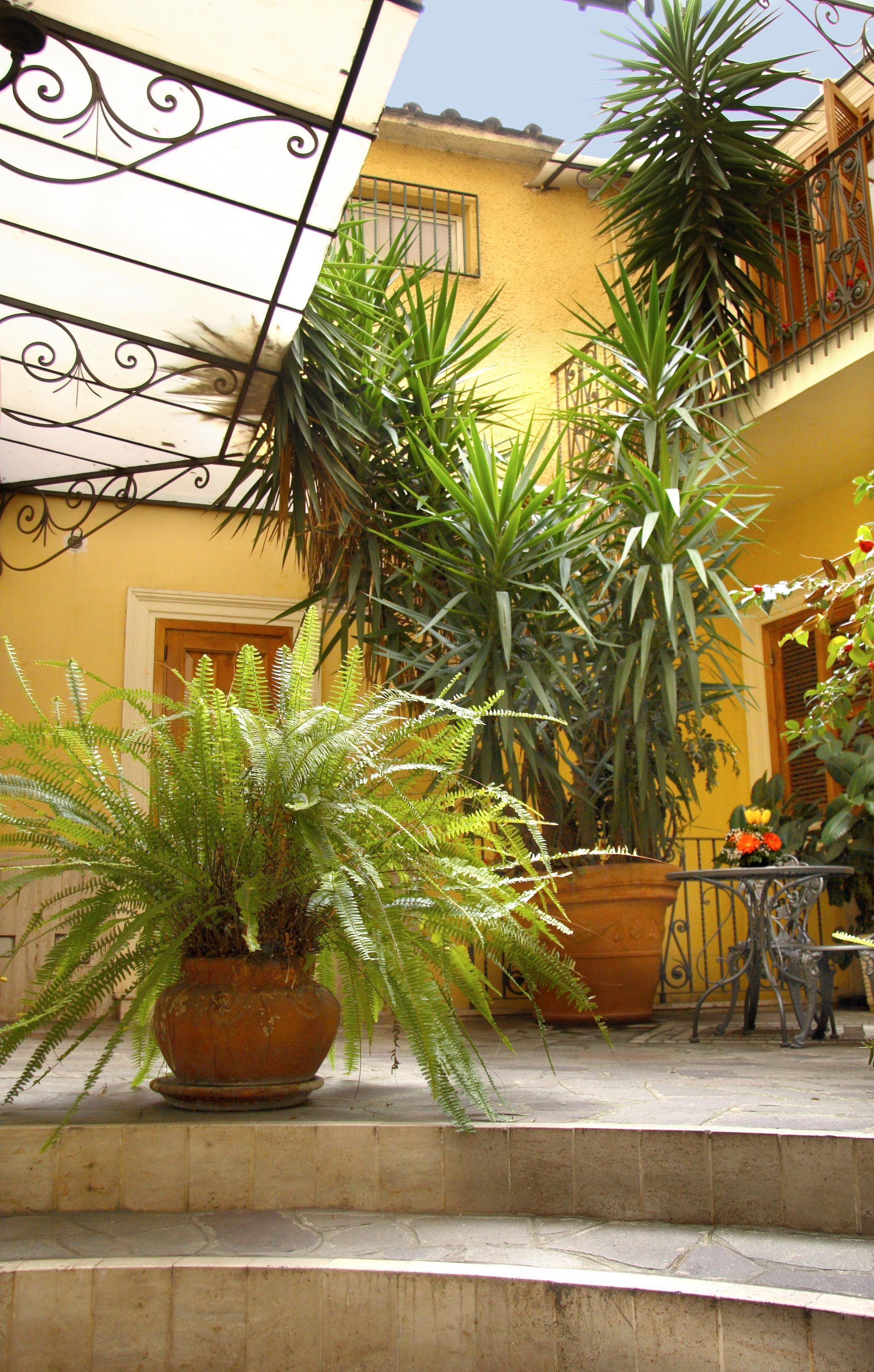 Foto - Hotel Villa San Lorenzo Maria