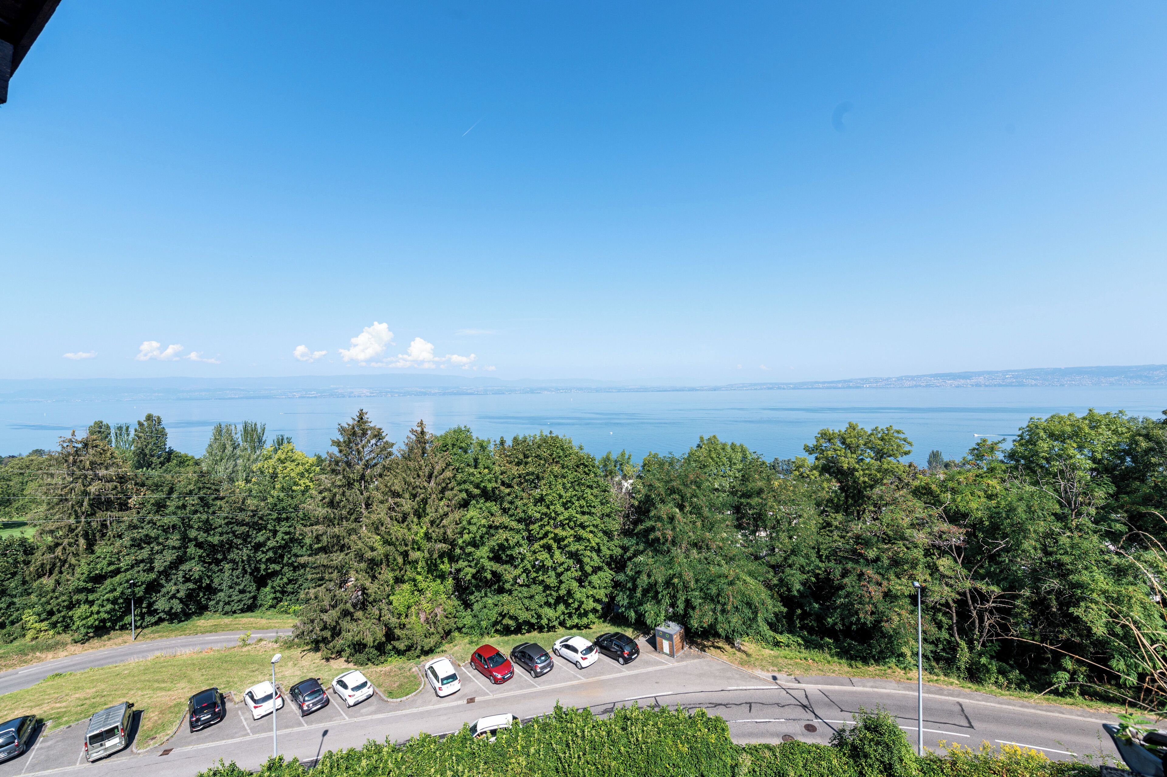 A parking lot with several cars and a view of a body of water and trees in the background.