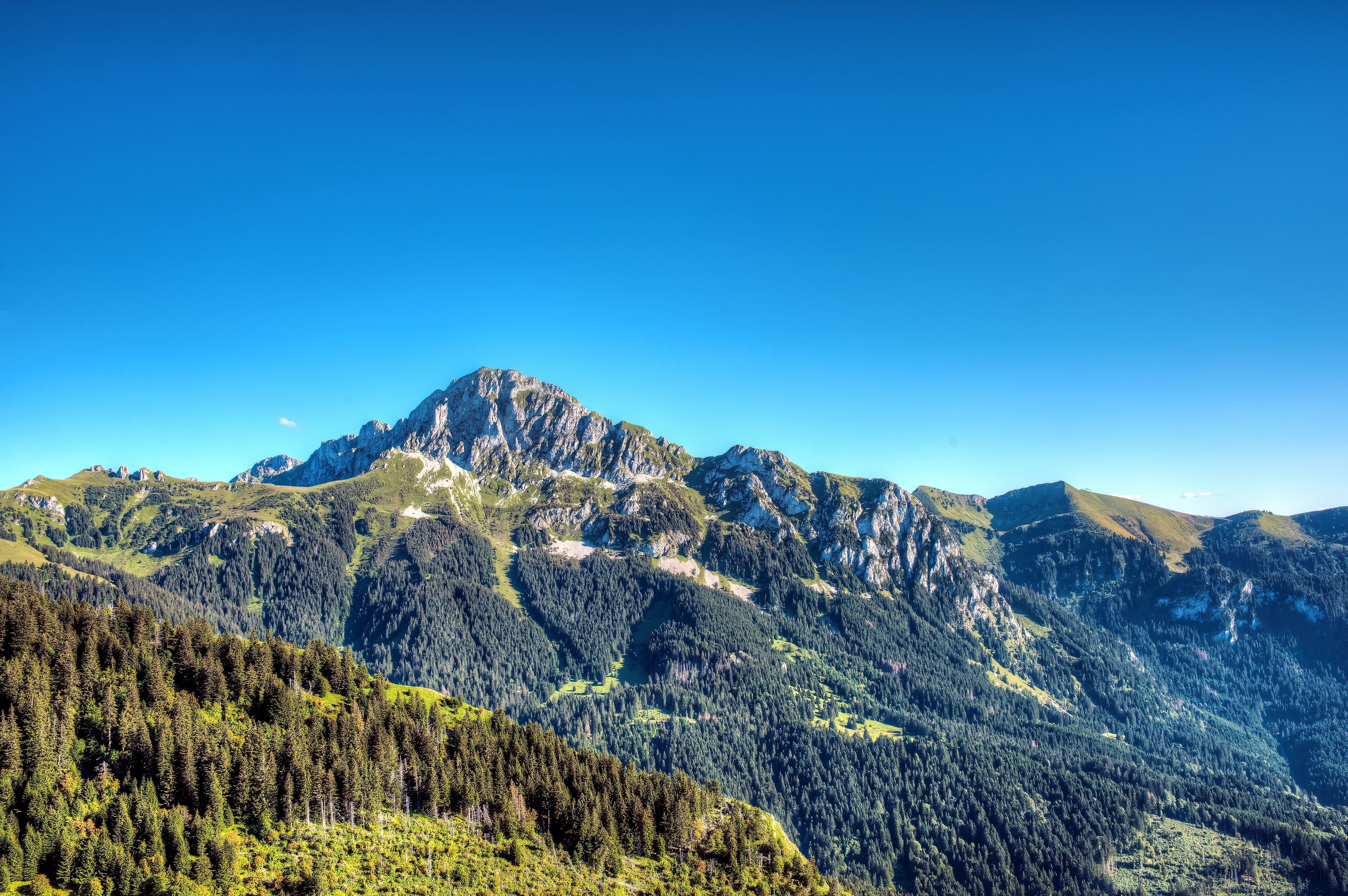 Un paysage montagneux caractérisé par un sommet imposant, de vastes zones boisées et un ciel bleu dégagé.