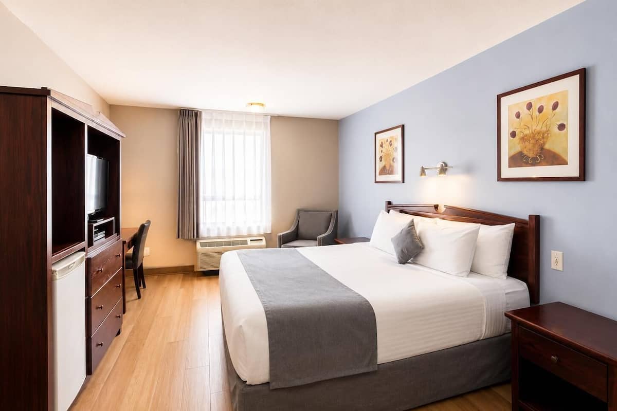 Room, 1 King Bed