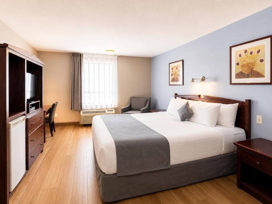 Habitación de hotel con cama, escritorio, silla, televisor y obras de arte en las paredes.