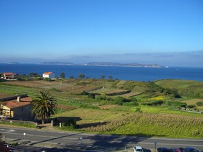 Un paisaje costero con una carretera, casas y campos.