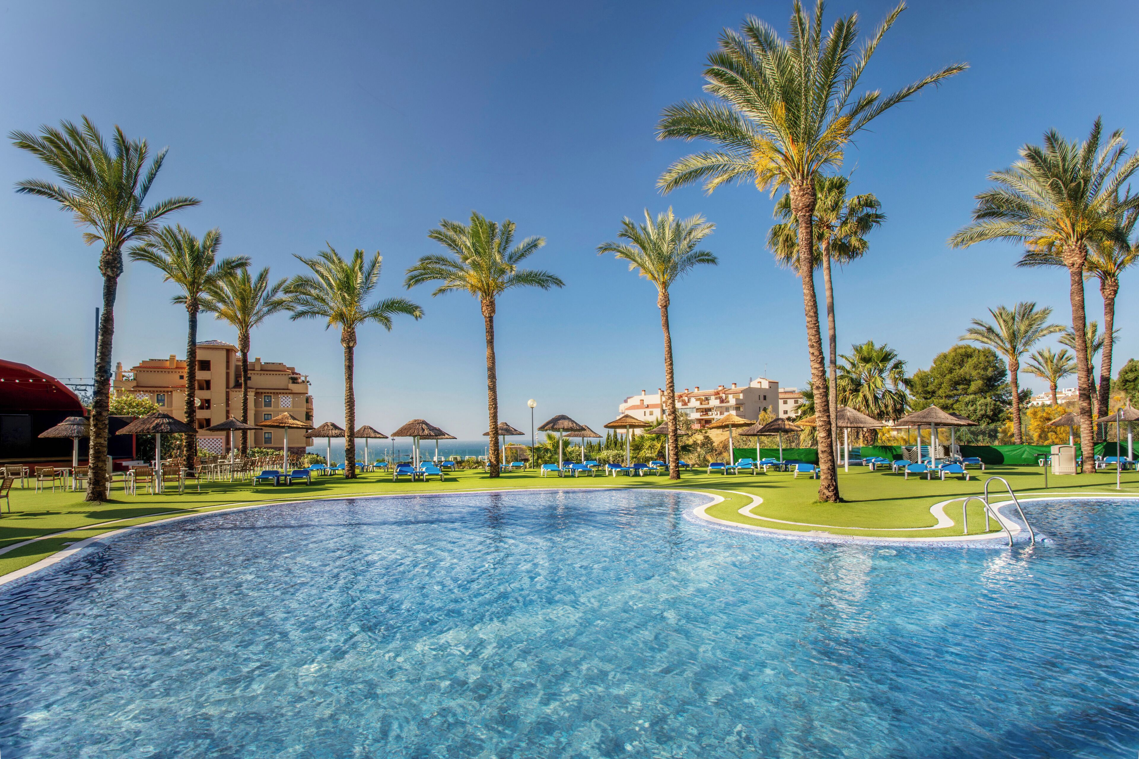 A swimming pool with palm trees, lounge chairs, and a building in the background.