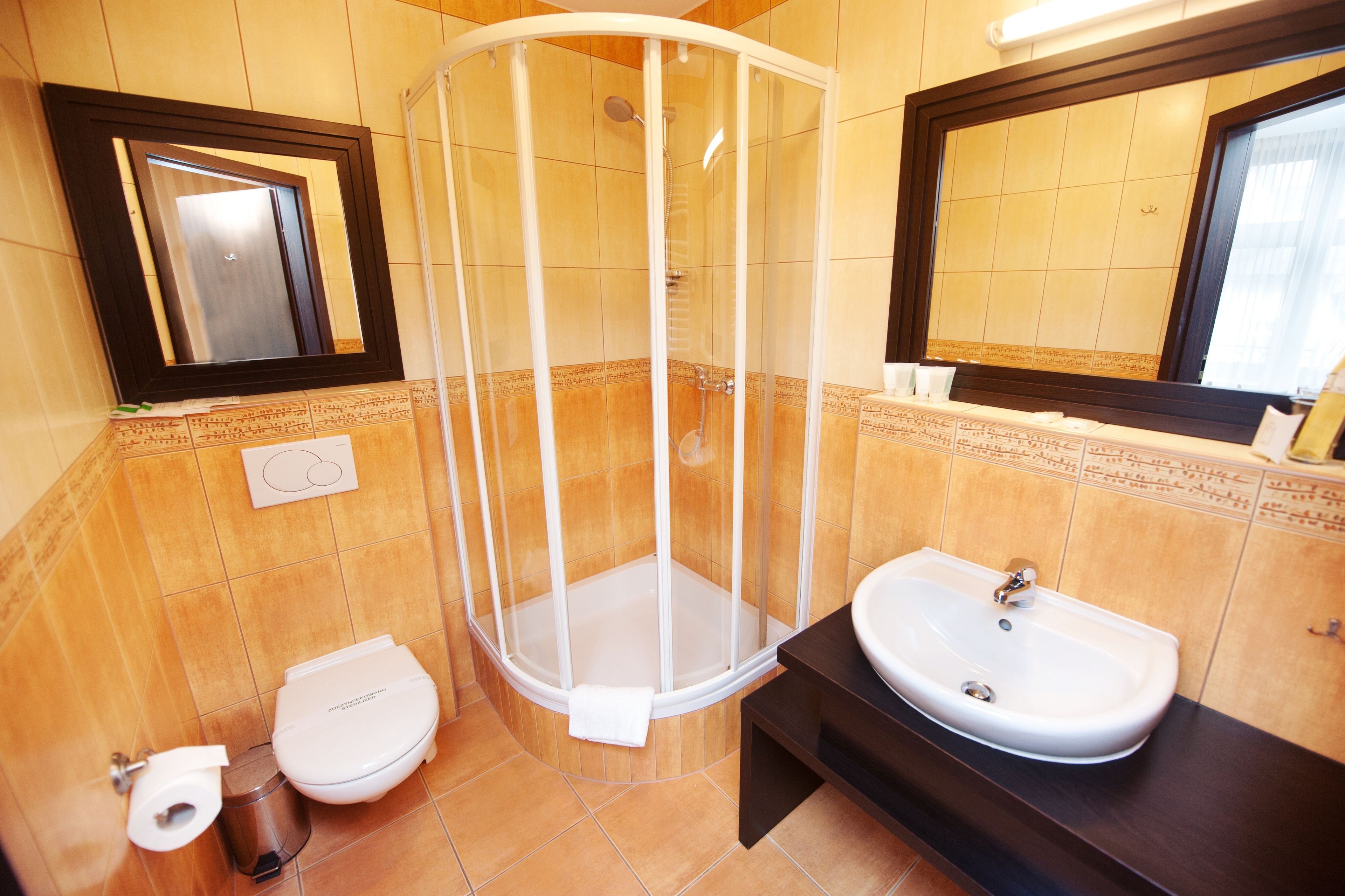 standard double or twin room | bathroom | shower, free toiletries, hair dryer, towels
