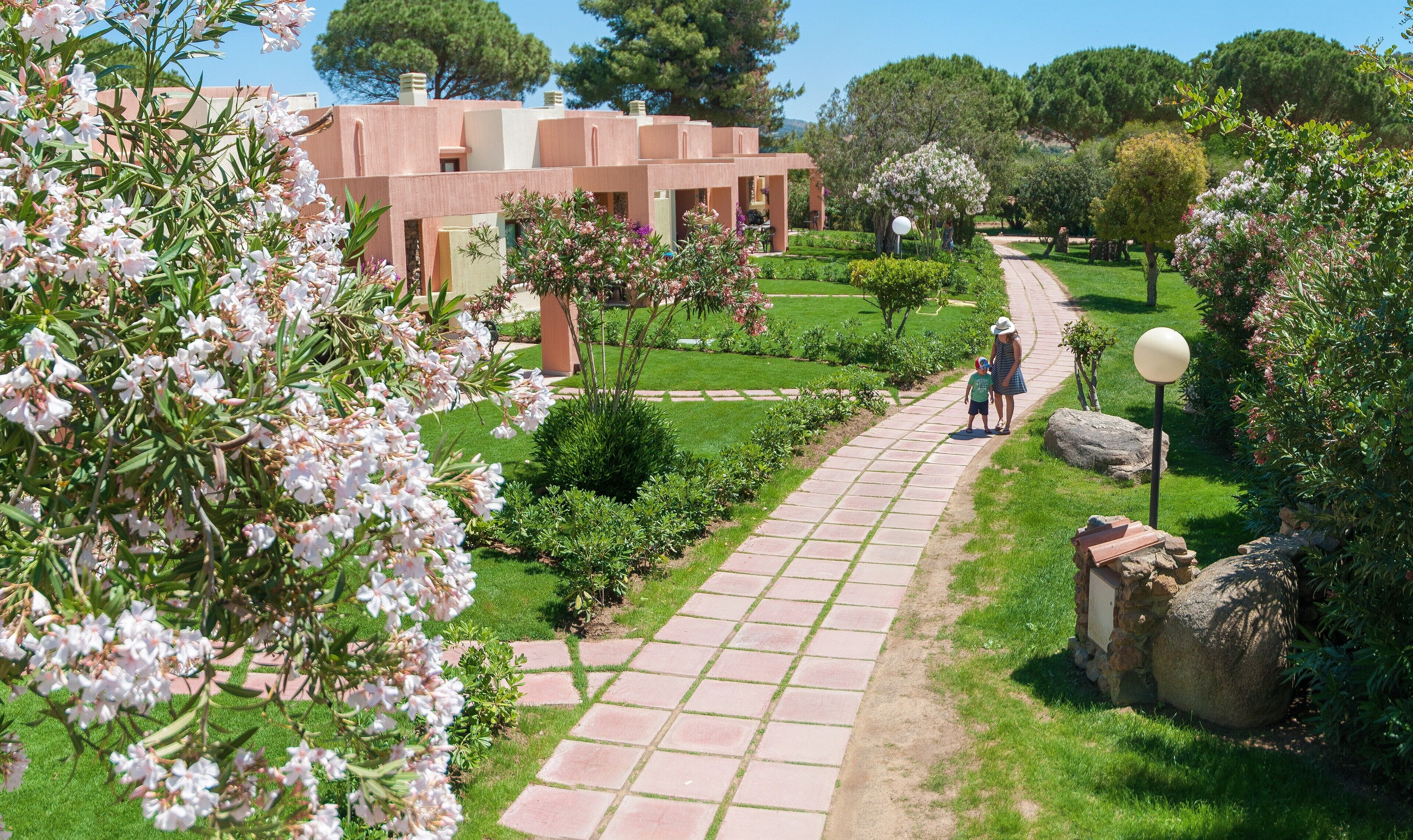 A pathway leading to a building with a garden and a large tree in the background.