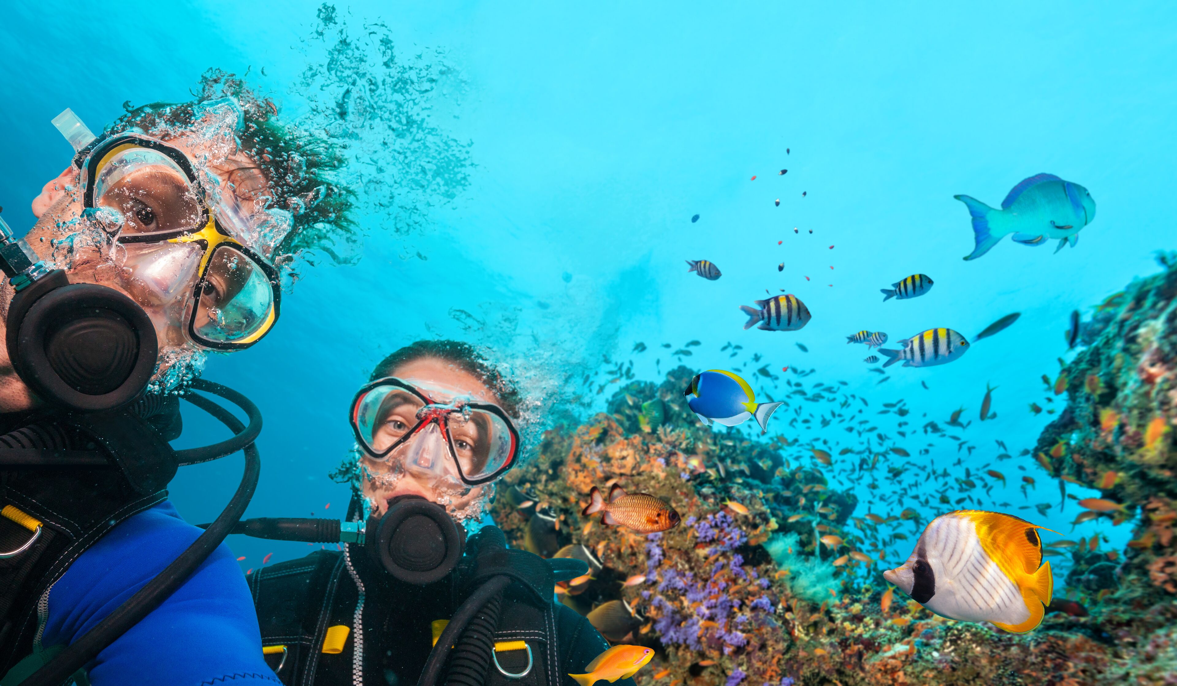 Ein Taucher mit Taucherbrille und Schnorchel, umgeben von verschiedenen Fischen und Korallen in einer Unterwasserlandschaft.
