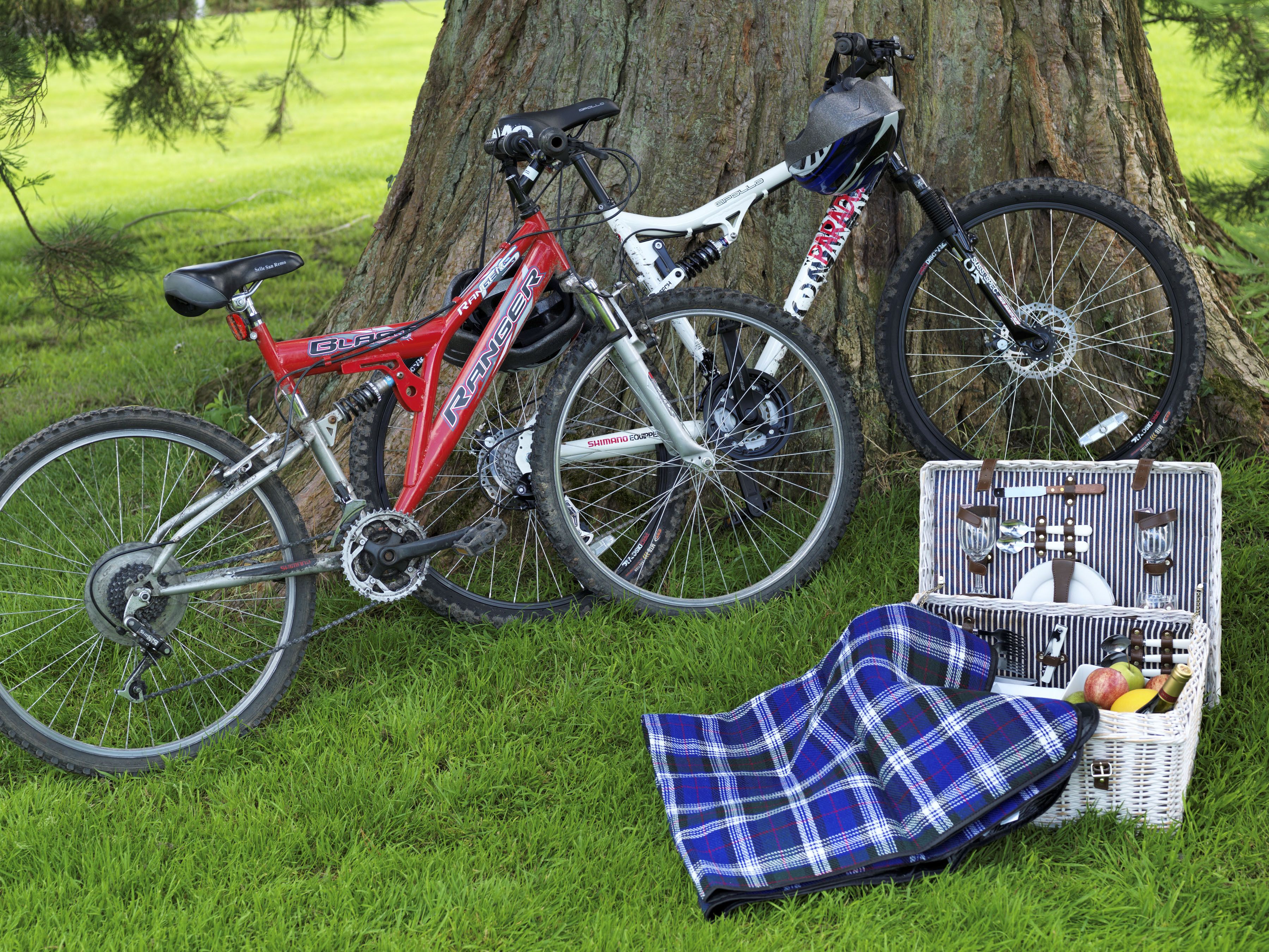 Arranjo de piquenique com manta, cesta e garrafas na grama perto de duas bicicletas.