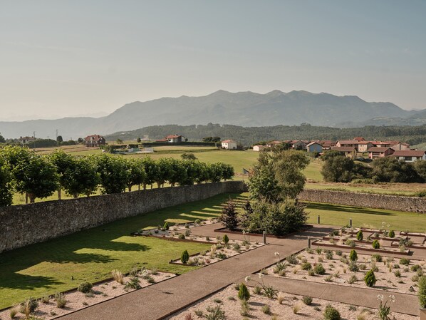 A vineyard with rows of grapevines, a stone wall, and a view of distant houses and mountains.