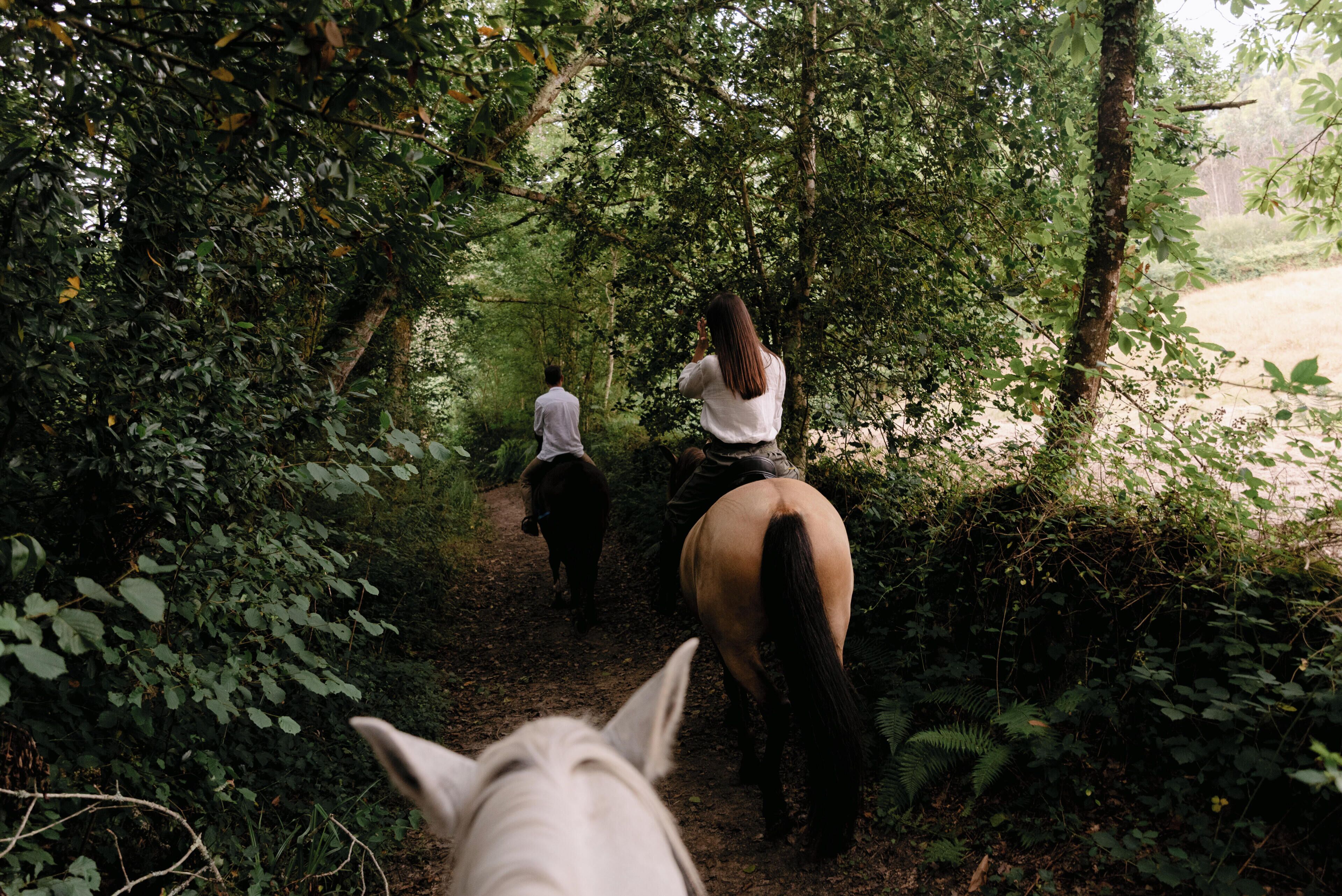 A narrow forest path with two people riding horses, surrounded by dense foliage.
