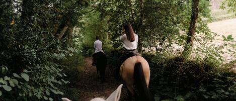 A narrow forest path with two people riding horses, surrounded by dense foliage.