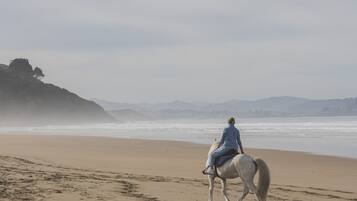 Horse riding