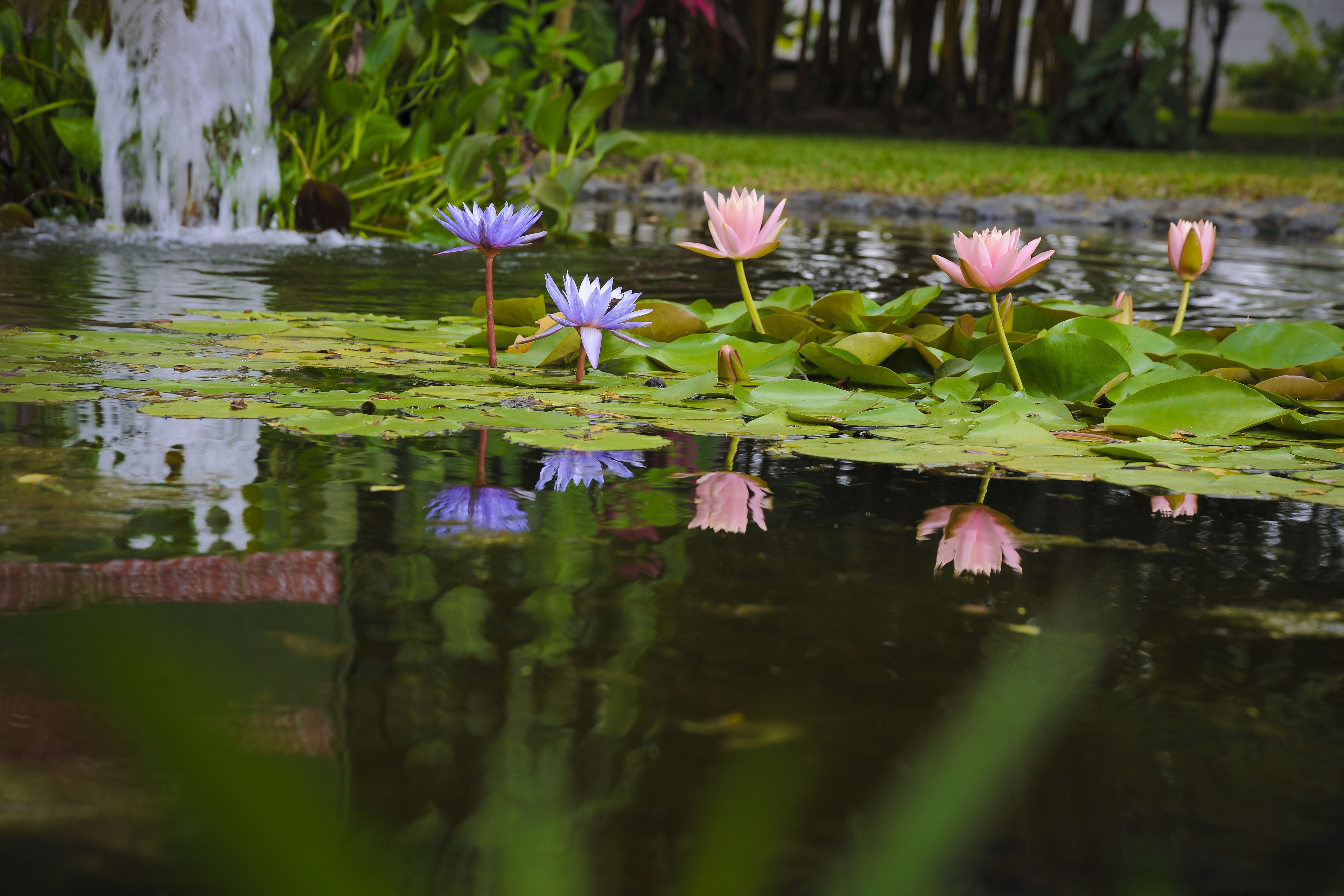 Foto - Hotel Robledal