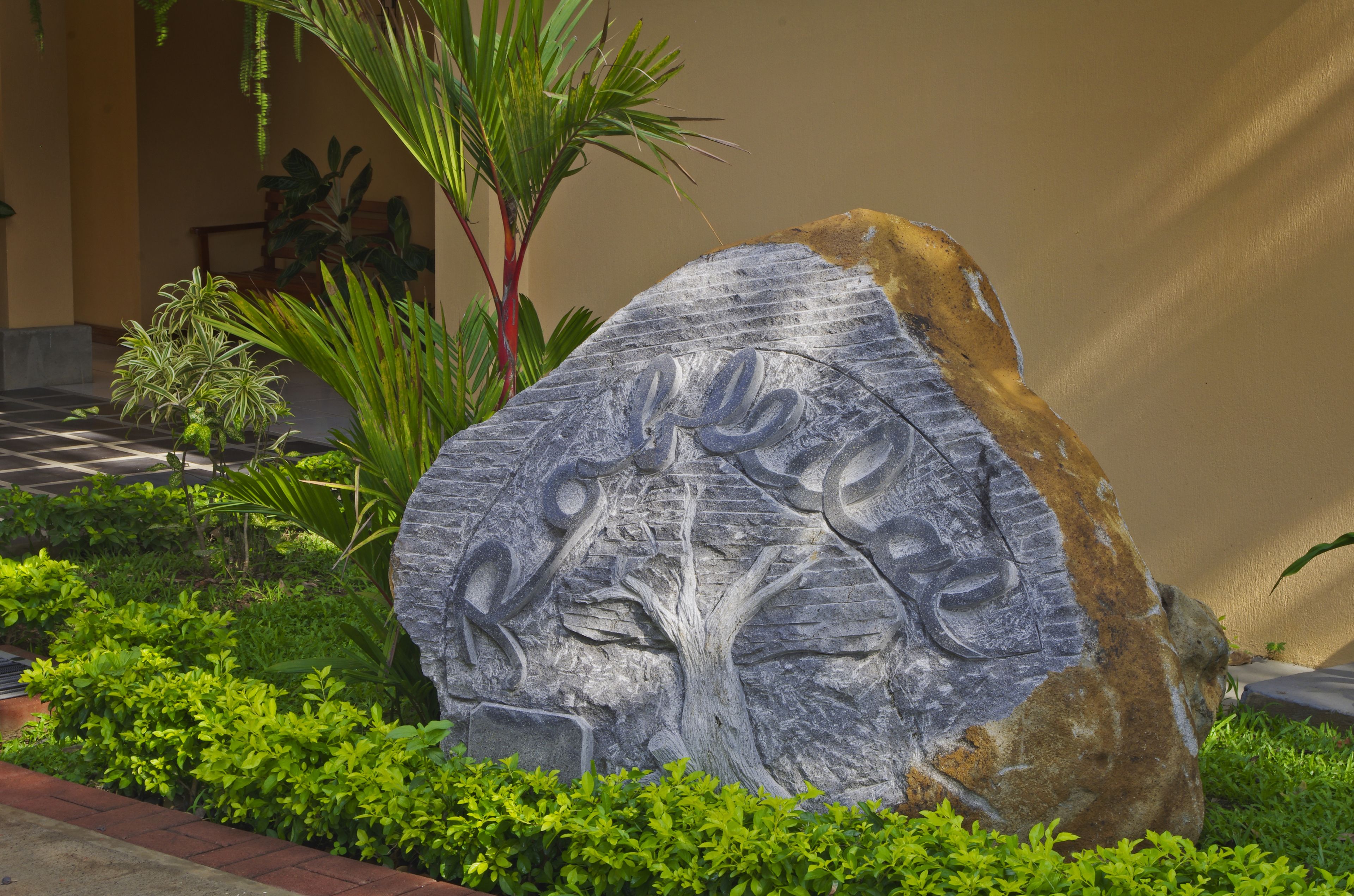 Foto - Hotel Robledal