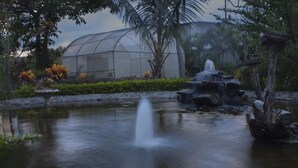 A tranquil garden with a pond, a waterfall feature, and a greenhouse structure. - Hotel Robledal (San Antonio)