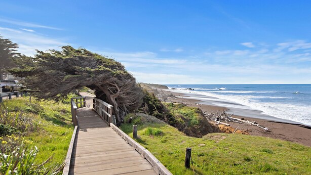 A wooden boardwalk leading to a beach with a large tree on the left.