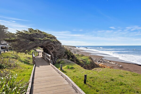 Beach nearby - The Morgan San Simeon - Cambria by Hearst Castle (San Simeon)