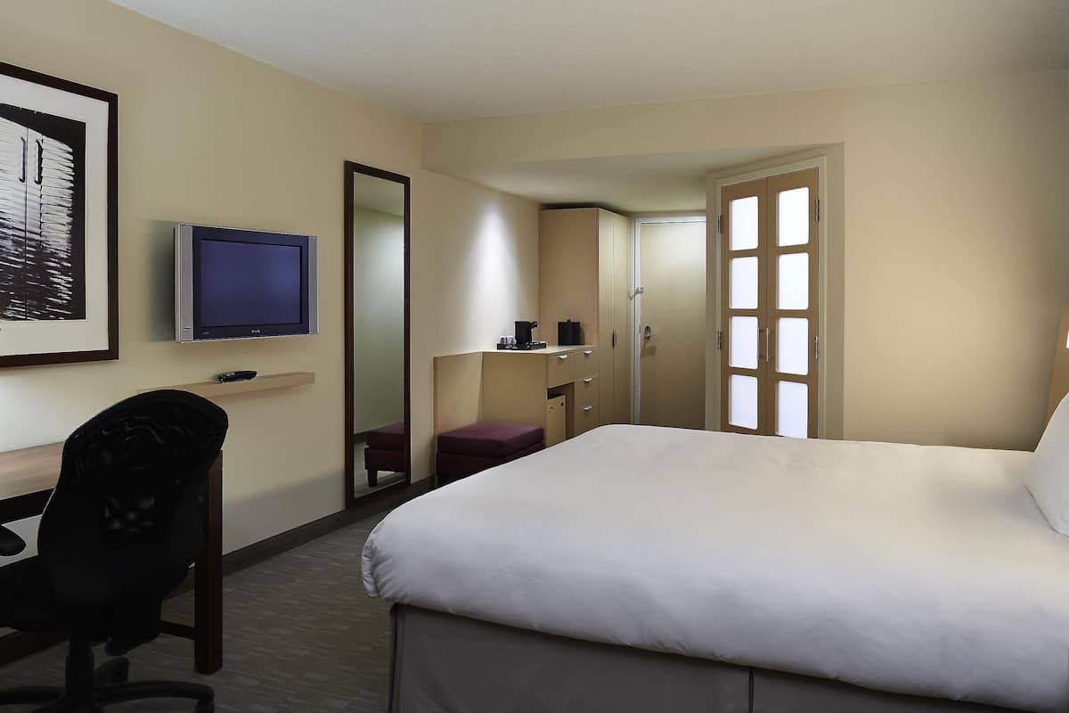 Habitación de hotel con cama, escritorio, silla, televisor, armario y espejo.