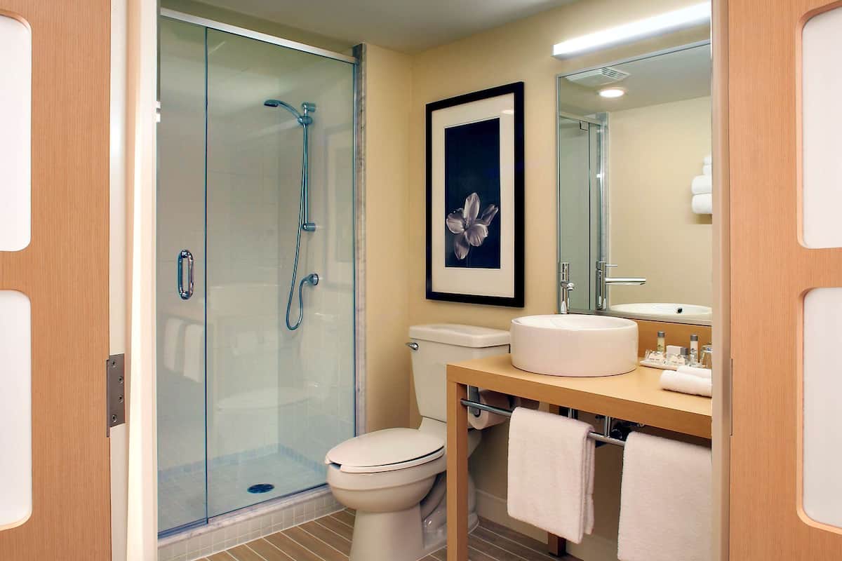 eco-friendly toiletries, hair dryer, towels