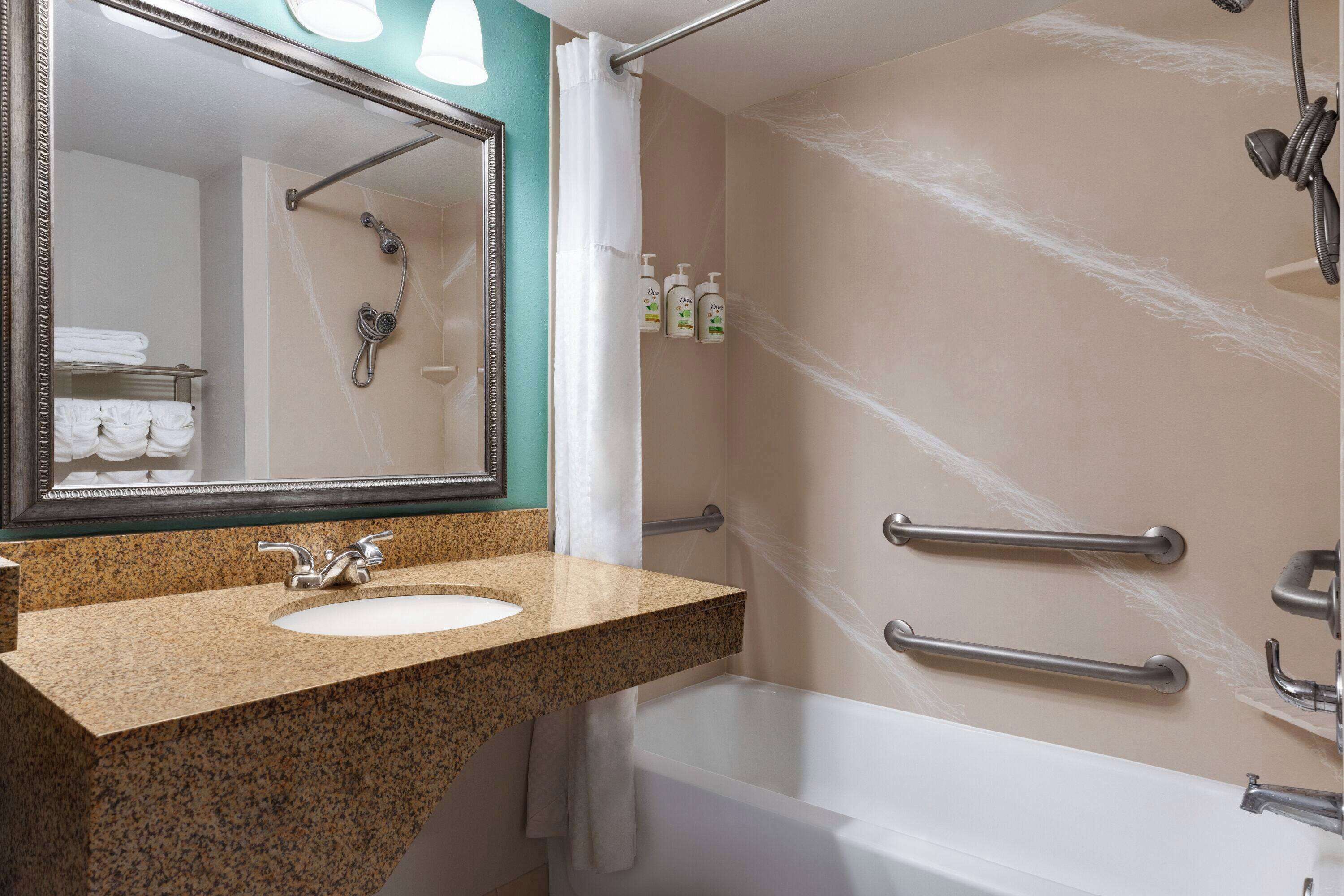 standard room, 1 king bed, accessible | accessible bathroom