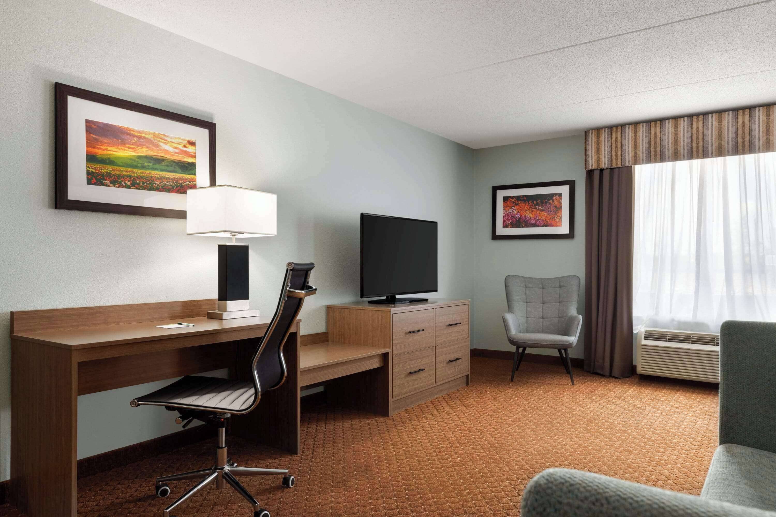 standard room, 1 king bed, accessible | premium bedding, in-room safe, desk, blackout curtains