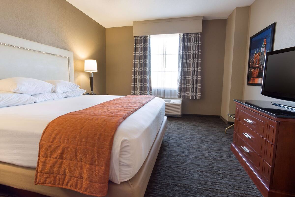 A hotel room with a large bed, a flat-screen TV, a dresser, a window with curtains, and a wall-mounted picture.