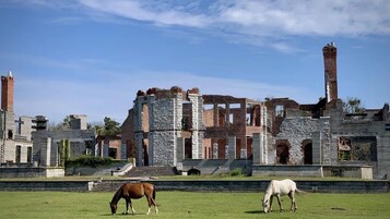 Un edificio histórico con arquitectura de piedra y ladrillo, que presenta un amplio patio abierto con caballos pastando.