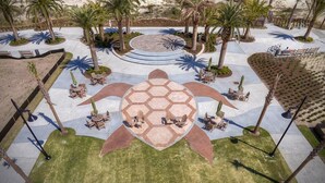 A beachside resort with a central patio area featuring hexagonal tiles, palm trees, and outdoor seating. - Microtel Inn & Suites by Wyndham Kingsland Naval Base I-95 (Kingsland)