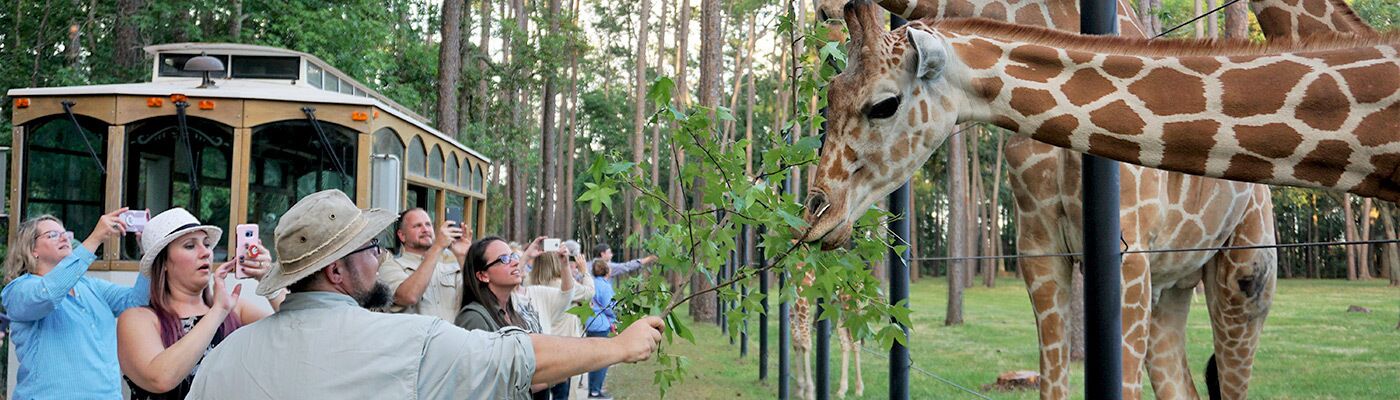 Photo - Microtel Inn & Suites by Wyndham Kingsland Naval Base I-95