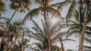 2 Außenpools, geöffnet von 08:00 Uhr bis 20:00 Uhr, Liegestühle