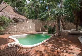 A swimming pool with a stone wall and palm trees in the background.