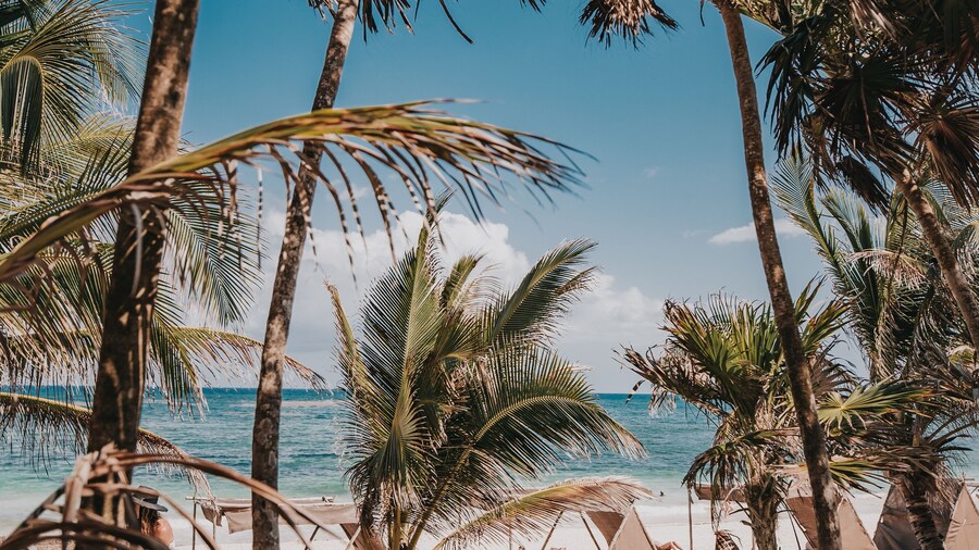 Papaya Playa Project, Tulum, a Member of Design Hotels