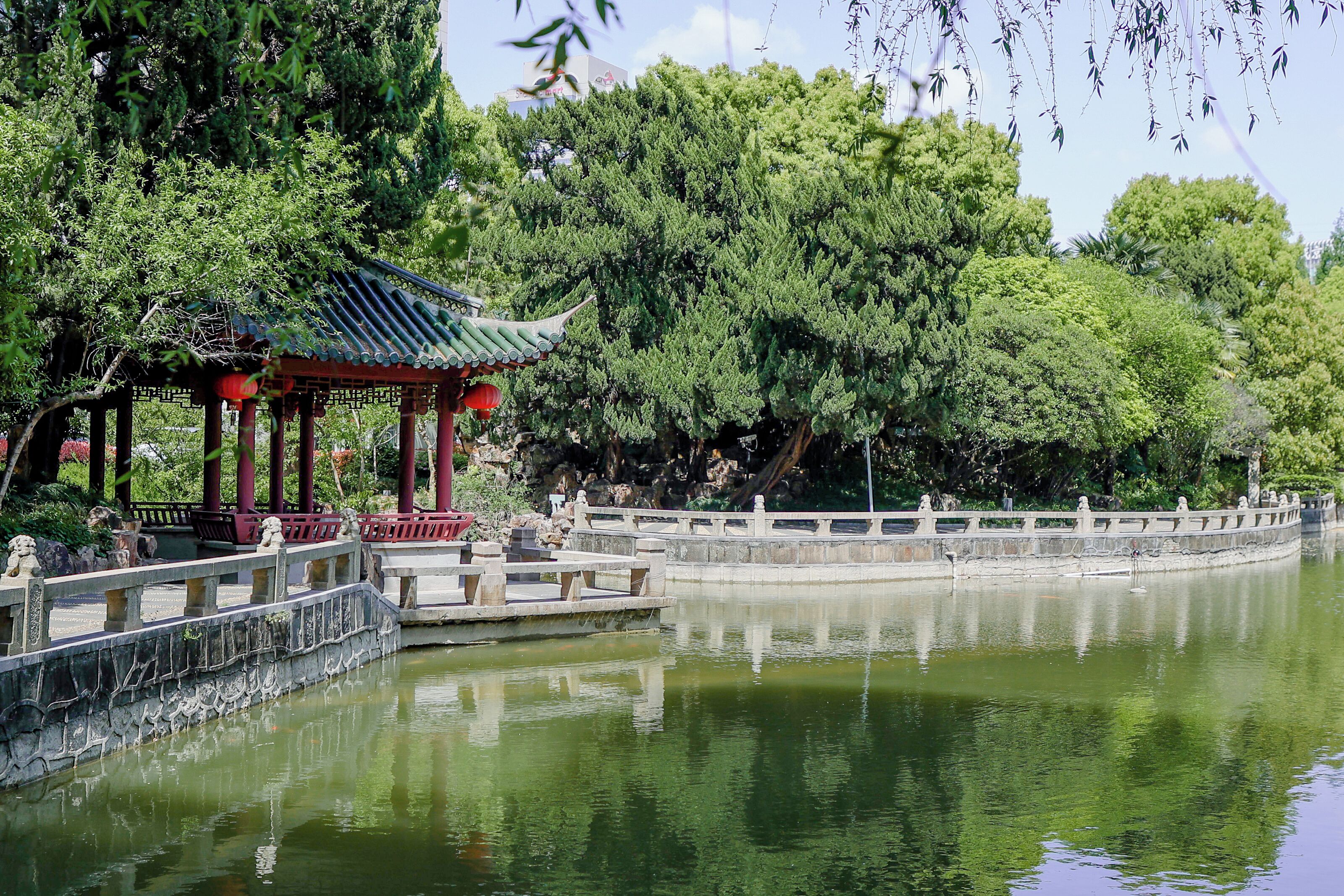 客房景觀