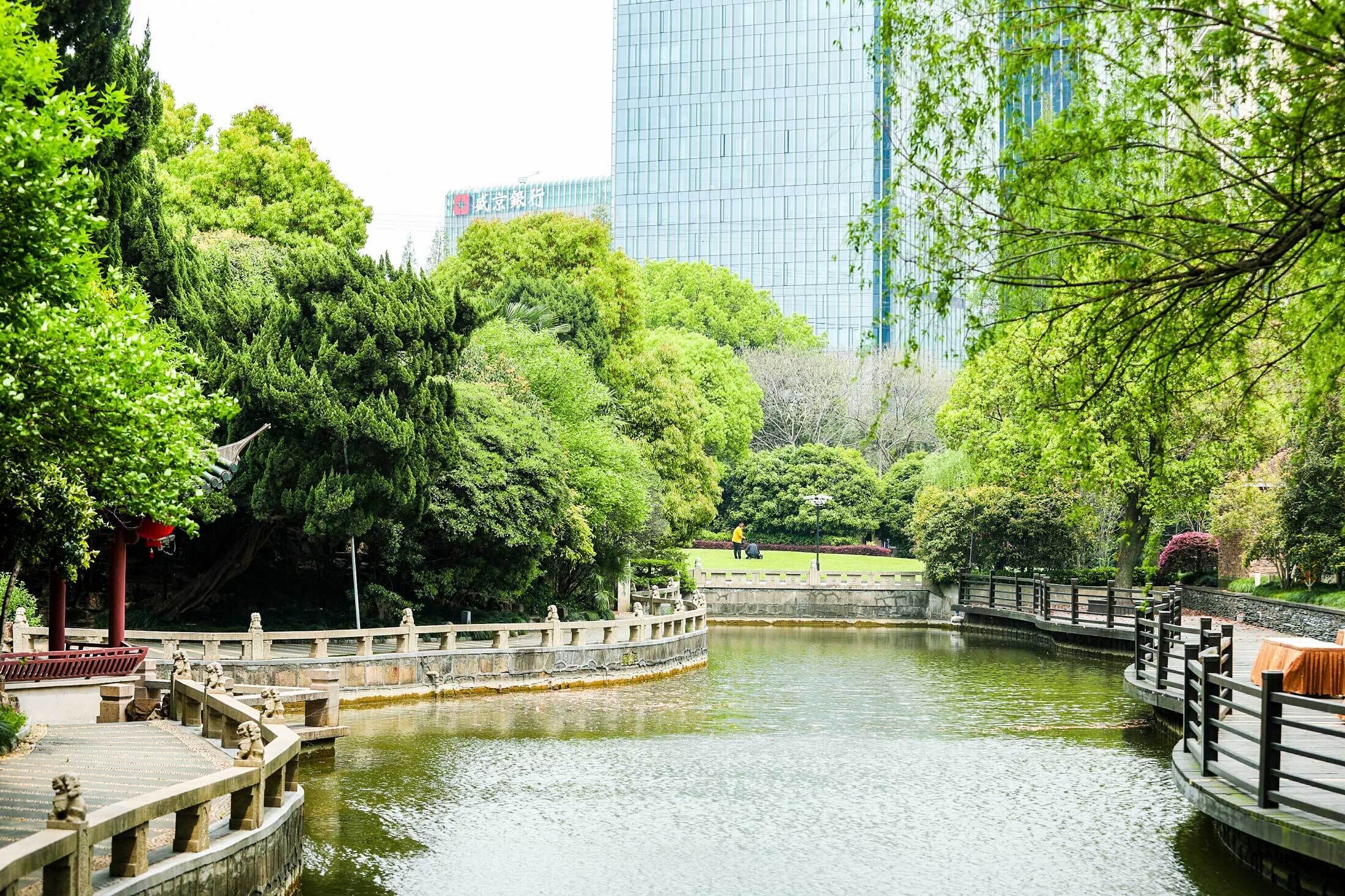 executive suite | view from room